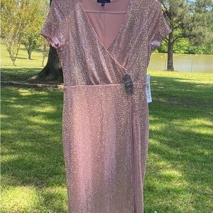Nwt pink metallic dress